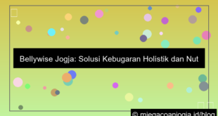 bellywise jogja