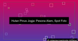 visual hutan pinus jogja