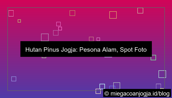 visual hutan pinus jogja