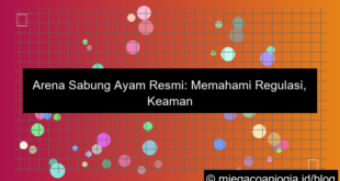 ilustrasi arena sabung ayam resmi