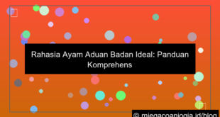 ayam aduan badan ideal