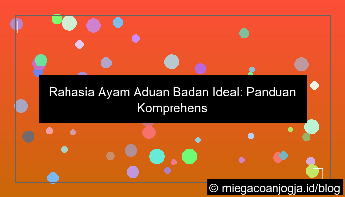 ayam aduan badan ideal