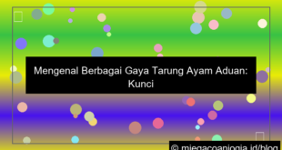 grafik ayam aduan gaya tarung