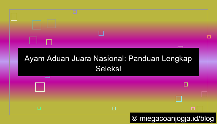 gambar ayam aduan juara nasional