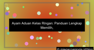 ayam aduan kelas ringan