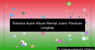 ayam aduan mental juara