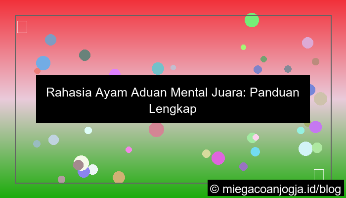 ayam aduan mental juara
