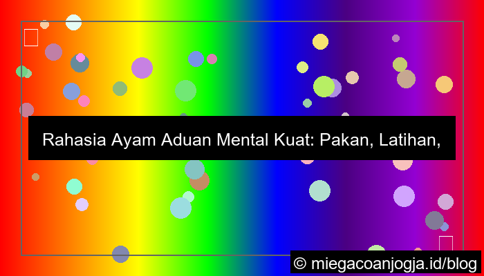 ayam aduan mental kuat