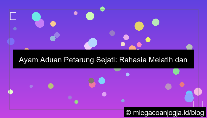 ayam aduan petarung sejati