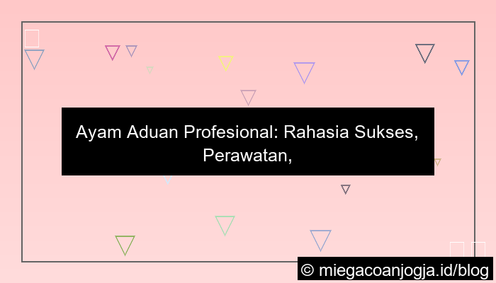 grafik ayam aduan profesional