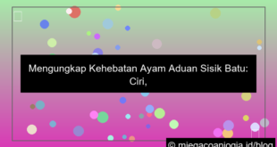 ayam aduan sisik batu