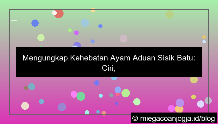 ayam aduan sisik batu