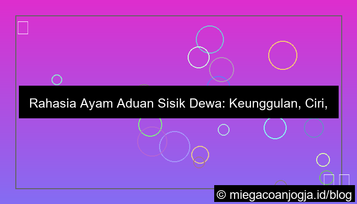 visual ayam aduan sisik dewa