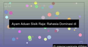 ayam aduan sisik raja