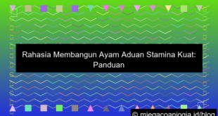 visual ayam aduan stamina kuat