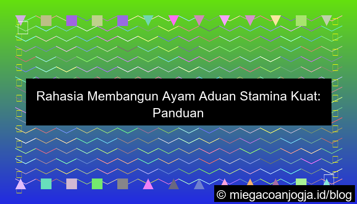 visual ayam aduan stamina kuat