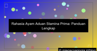 ayam aduan stamina prima