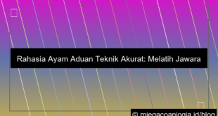ayam aduan teknik akurat