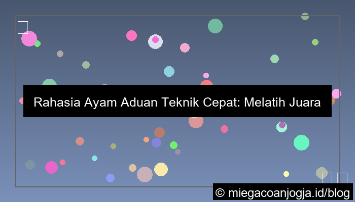 grafik ayam aduan teknik cepat