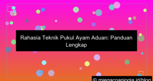 ilustrasi ayam aduan teknik pukul