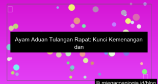 ayam aduan tulangan rapat