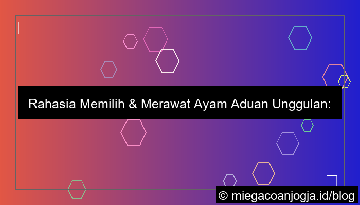 ayam aduan unggulan