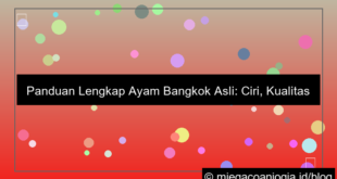 desain ayam bangkok asli