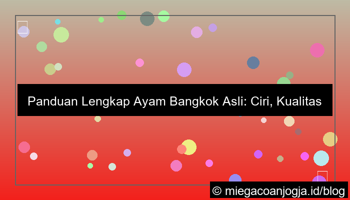 desain ayam bangkok asli