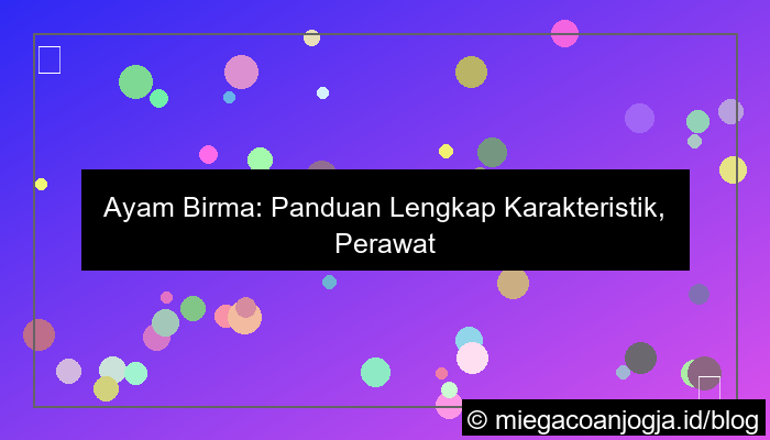 ilustrasi ayam birma