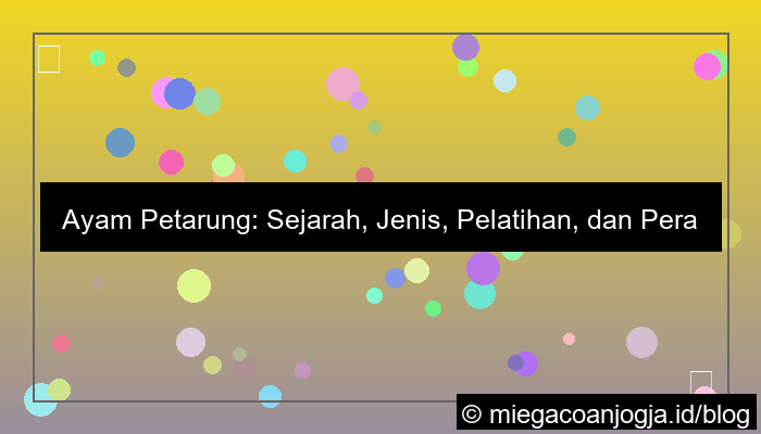 visual ayam petarung