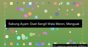 desain duel sengit wala meron