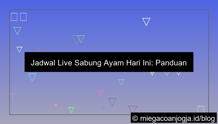 visual jadwal live sabung ayam