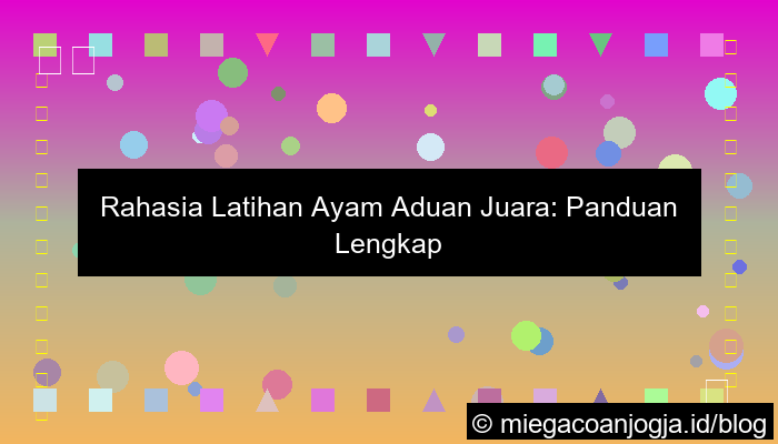 visual latihan ayam aduan