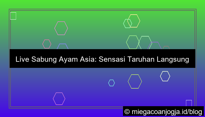 grafik live sabung ayam asia