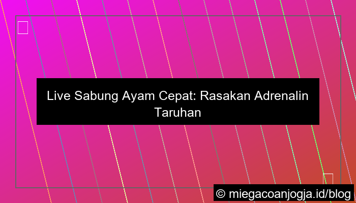 live sabung ayam cepat