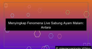 live sabung ayam malam