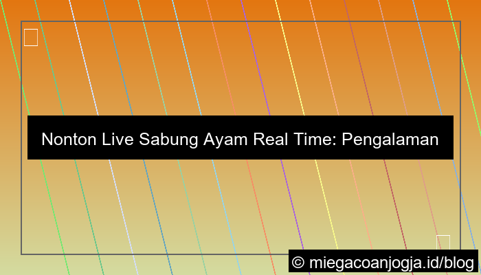 visual live sabung ayam real time
