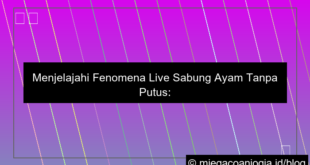 live sabung ayam tanpa putus