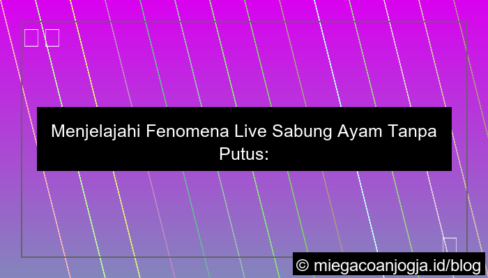 live sabung ayam tanpa putus