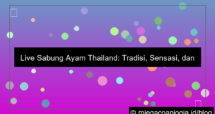 live sabung ayam thailand