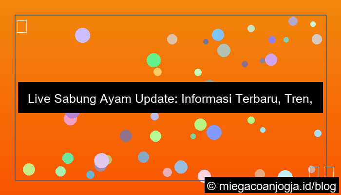 live sabung ayam update