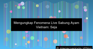 live sabung ayam vietnam