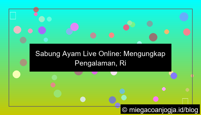 live sabung ayam