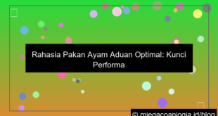 gambar pakan ayam aduan