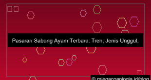 pasaran sabung ayam terbaru