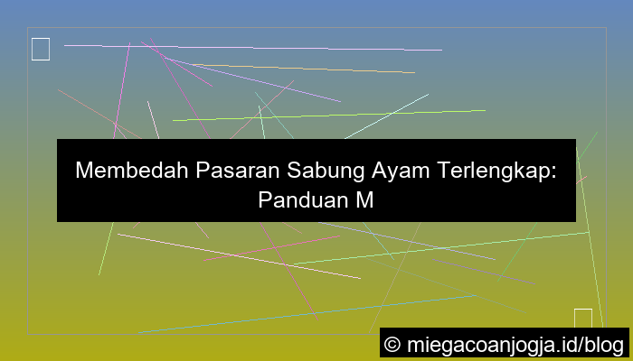 visual pasaran sabung ayam terlengkap