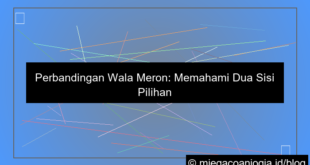 visual perbandingan wala meron