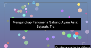 visual sabung ayam asia