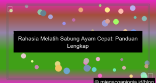 visual sabung ayam cepat