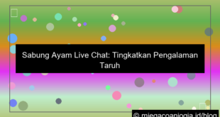 desain sabung ayam dengan live chat